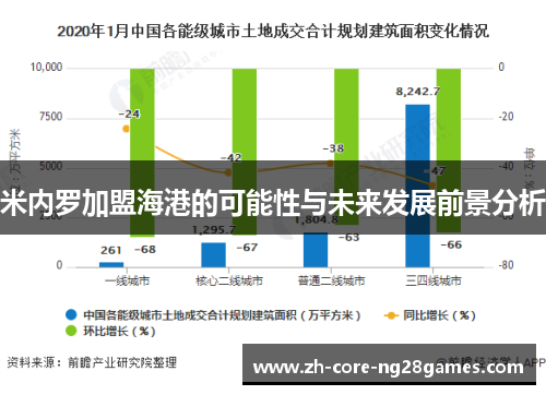 米内罗加盟海港的可能性与未来发展前景分析