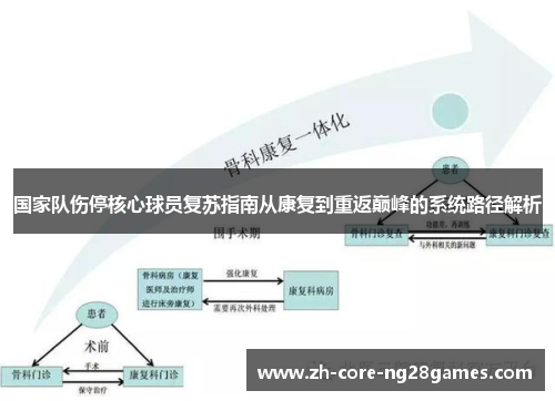 国家队伤停核心球员复苏指南从康复到重返巅峰的系统路径解析
