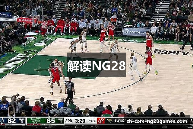解读NG28